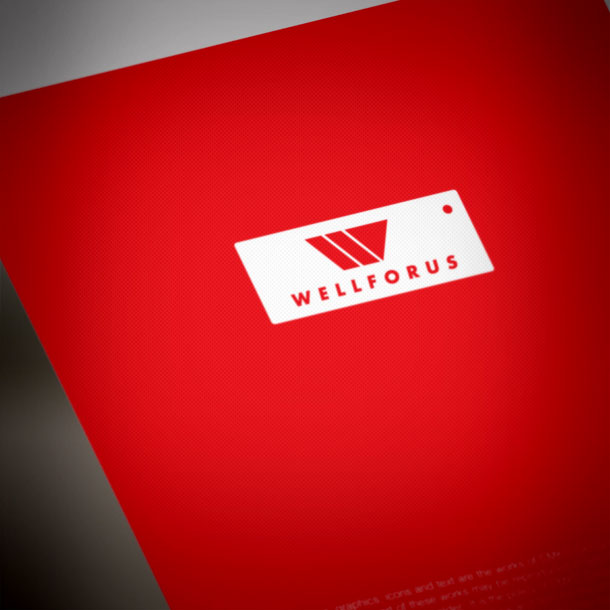 Corporate Identity Designer - WellForUs.com Brand